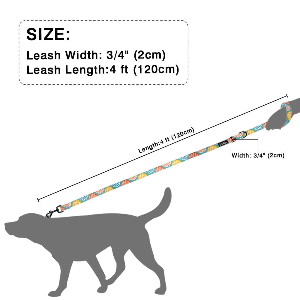 Heavy Duty Nylon Dog Lead 120cm  5 Designs