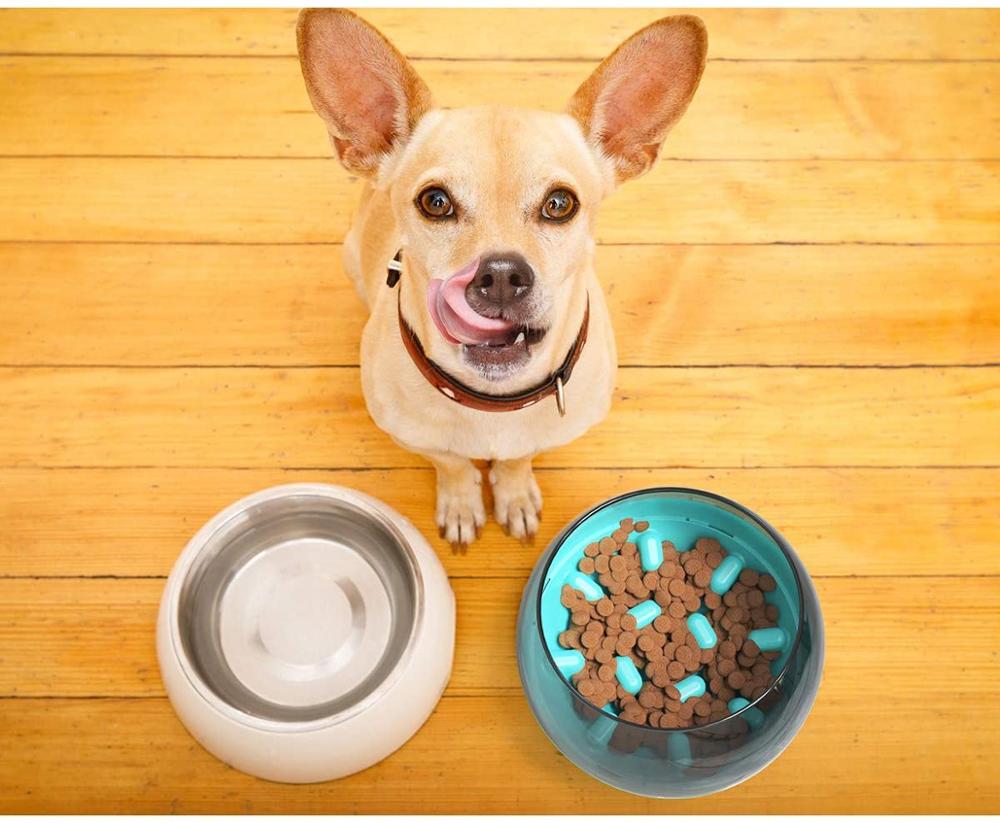 Slow Feeder Dog Bowl - Interactive Tumbler Puzzle