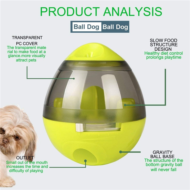 Interactive Food Dispenser For Dogs