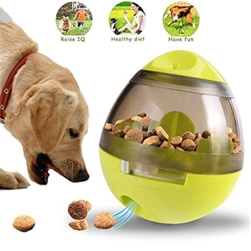 Interactive Food Dispenser For Dogs