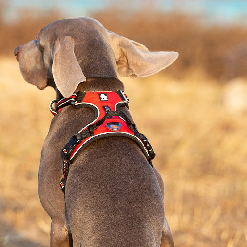 Truelove Reflective Adjustable Nylon Dog Harness