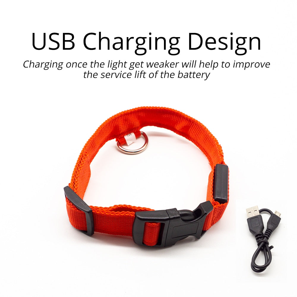 USB Charging Led Dog Collar - 8hr Per Charge - 5 Colours - 3 Light Modes