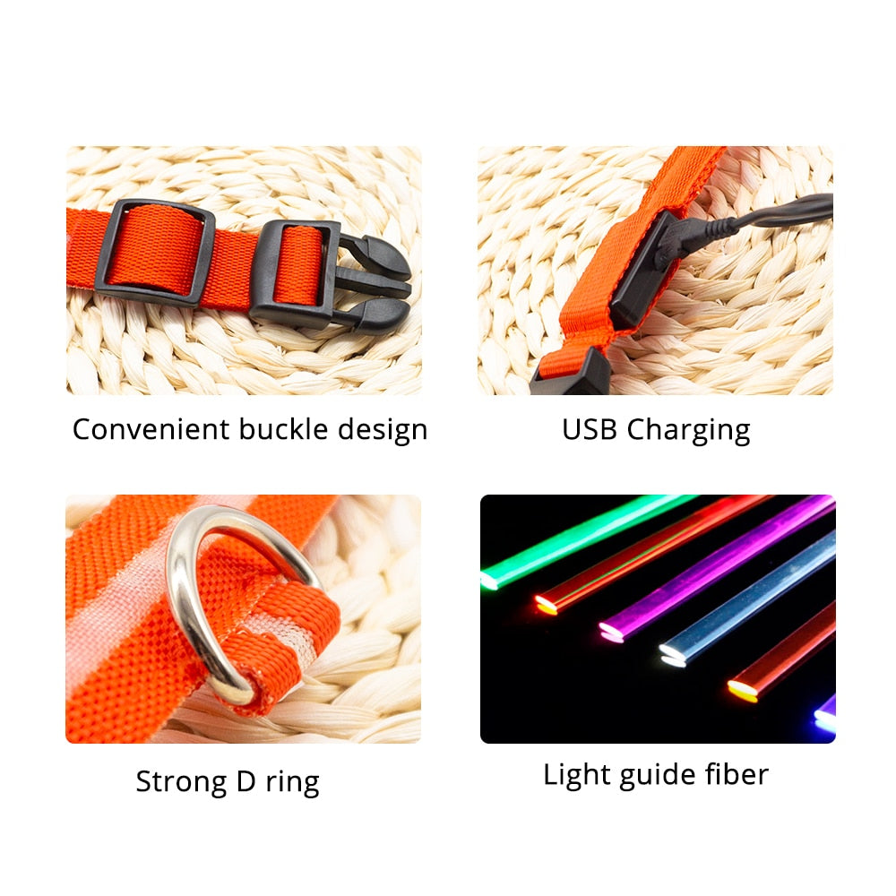 USB Charging Led Dog Collar - 8hr Per Charge - 5 Colours - 3 Light Modes