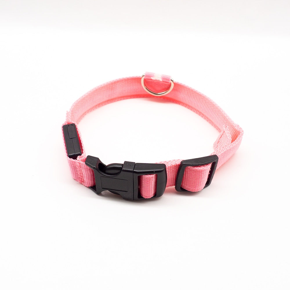 USB Charging Led Dog Collar - 8hr Per Charge - 5 Colours - 3 Light Modes