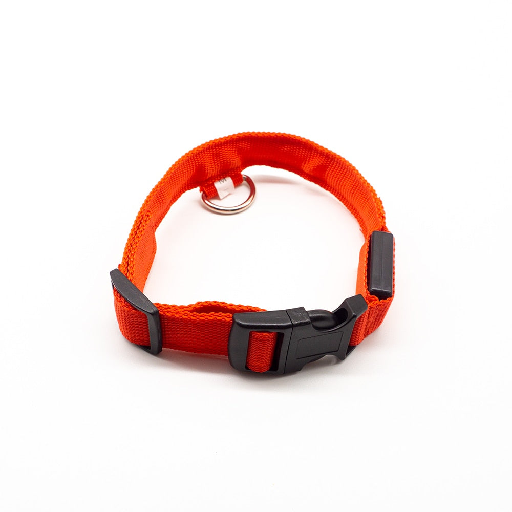 USB Charging Led Dog Collar - 8hr Per Charge - 5 Colours - 3 Light Modes