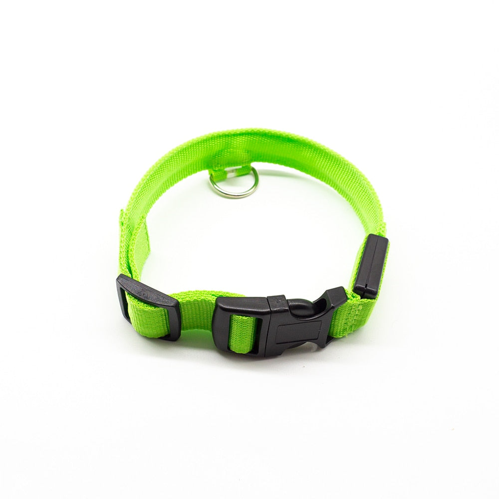 USB Charging Led Dog Collar - 8hr Per Charge - 5 Colours - 3 Light Modes