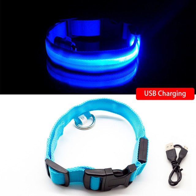 USB Charging Led Dog Collar - 8hr Per Charge - 5 Colours - 3 Light Modes