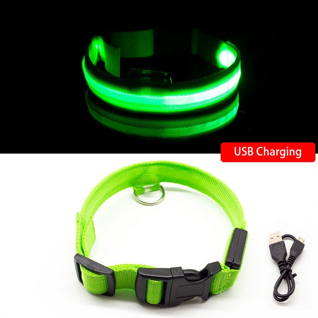 USB Charging Led Dog Collar - 8hr Per Charge - 5 Colours - 3 Light Modes