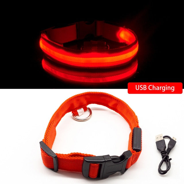 USB Charging Led Dog Collar - 8hr Per Charge - 5 Colours - 3 Light Modes