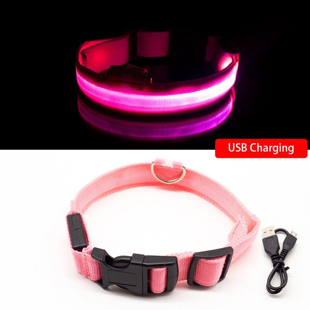 USB Charging Led Dog Collar - 8hr Per Charge - 5 Colours - 3 Light Modes