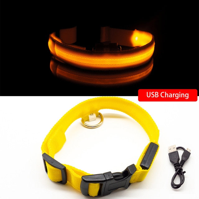 USB Charging Led Dog Collar - 8hr Per Charge - 5 Colours - 3 Light Modes