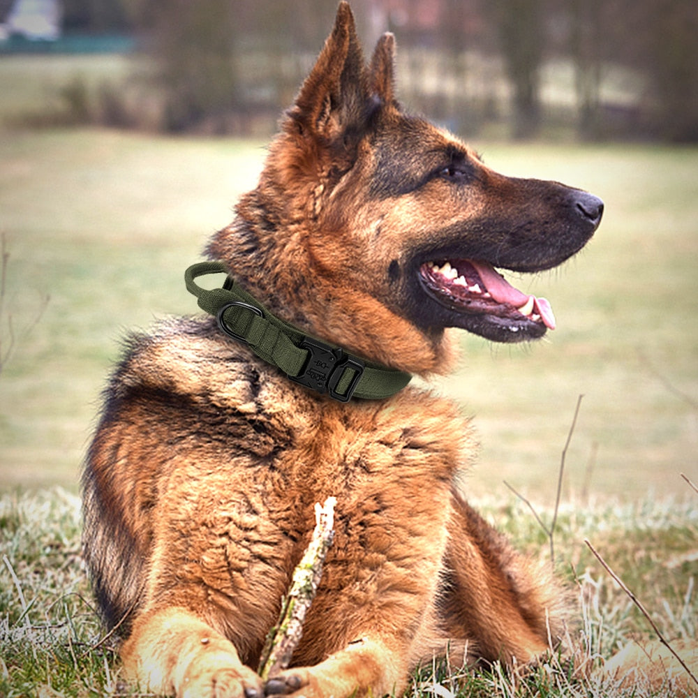 Military Tactical Dog Collar With Optional Matching 100cm Lead