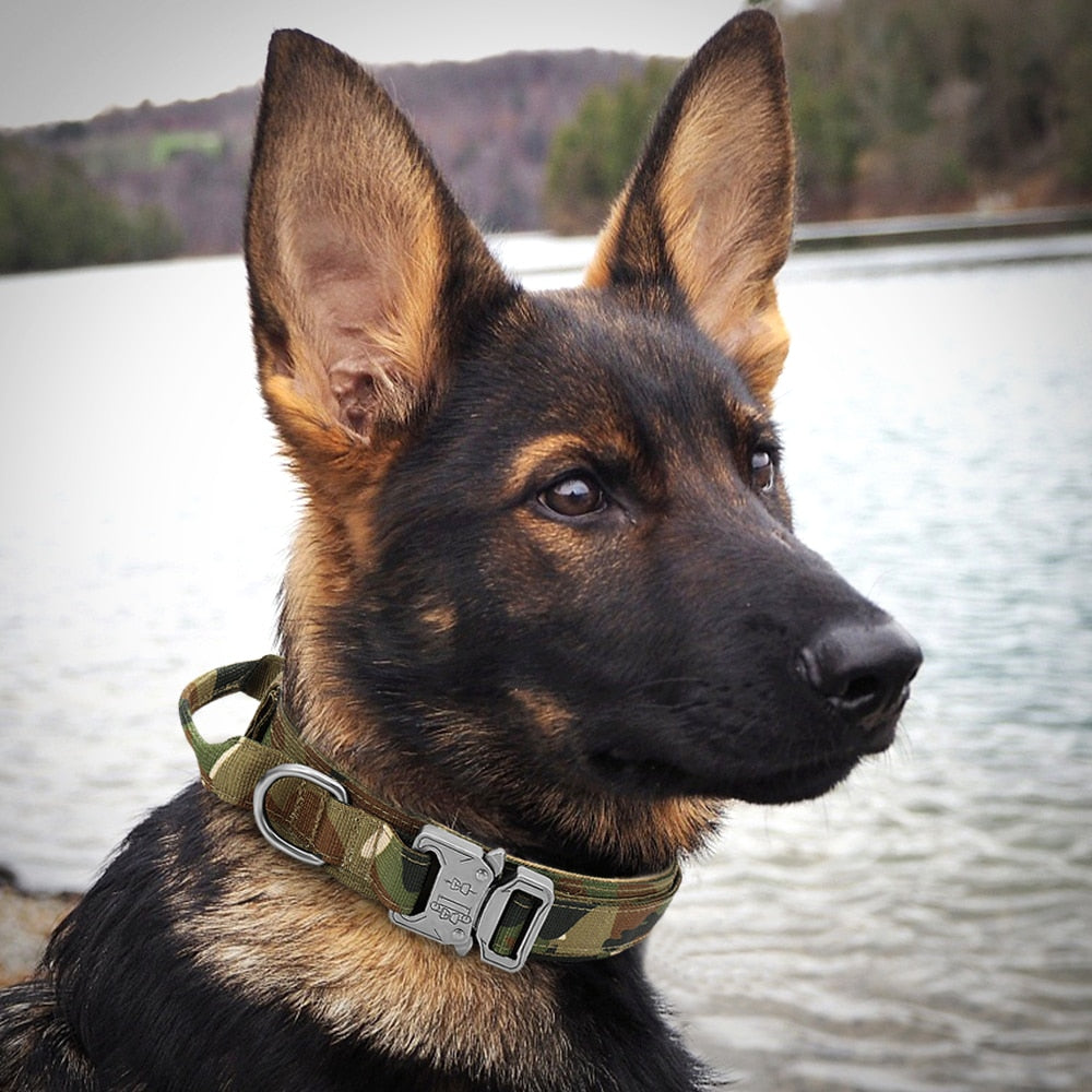 Military Tactical Dog Collar With Optional Matching 100cm Lead