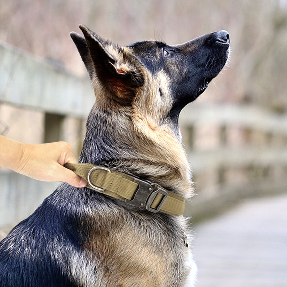 Military Tactical Dog Collar With Optional Matching 100cm Lead