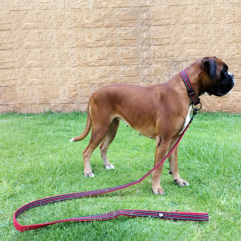 Soft Padded Dog Leads - 3M Reflective Leads - 11 Colours